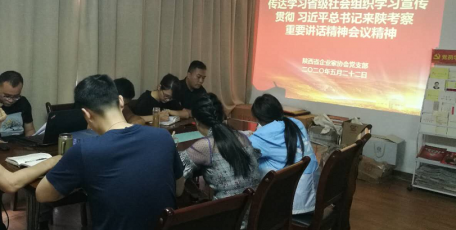 陕西省企业家协会党支部传达学习省级社会组织学习宣传贯彻习近平总书记来陕考           察重要讲话精神工作会议精神