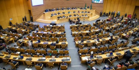 第35届非盟峰会聚焦疫情下加快非洲经济社会发展