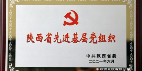 中联西北院党委荣膺陕西省先进基层党组织荣誉称号