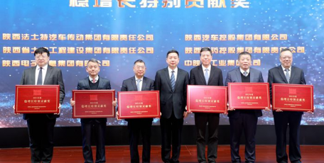 陕药集团荣获陕西国资系统“稳增长特别贡献奖”