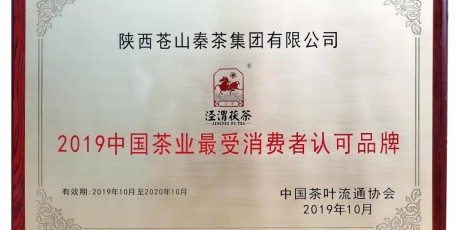 Tea News丨中国茶业“最受消费者认可品牌”揭晓