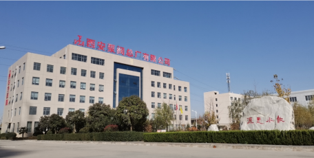 【陕西企业文化展播】西安泵阀总厂有限公司