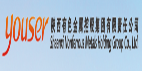 陕西有色金属集团抓实专项活动助推党支部标准化建设提质增效