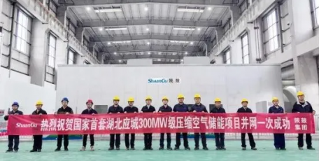 国际权威机构发布报告，聚焦储能标杆项目