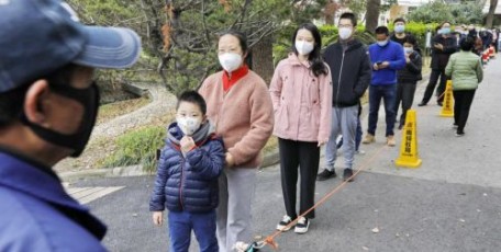 聚焦上海最大规模核酸筛查