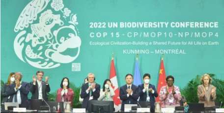 综述：中国将积极引导“框架”目标落地