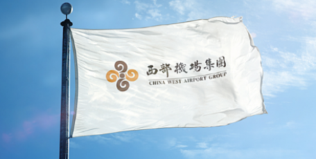 西部机场集团党委召开以案促改工作推进会