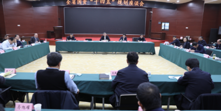 省国资委召开“十四五”规划编制工作座谈会