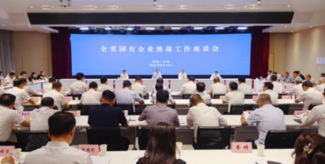 张文琪在全省国有企业统战工作座谈会上作交流发言
