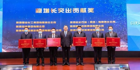 陕西有色金属集团荣获省国资委“稳增长突出贡献奖”
