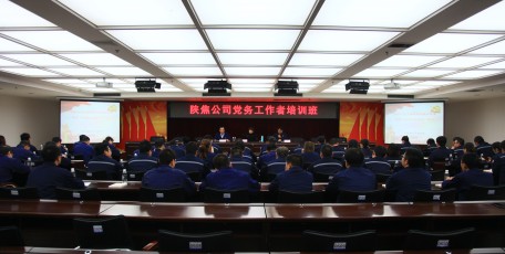 提升素质聚合力  党建领航促发展