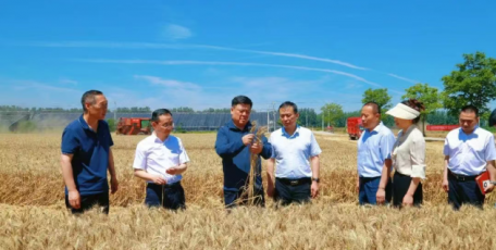 吴聪聪在陕西农垦集团调研“三夏”生产及特色产业发展情况