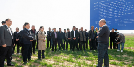 孙矿玲在蒲城县调研指导小麦春管工作时要求：​抢抓农时 落细措施 全力以赴打赢夏粮丰收第一仗