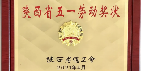 今日聚焦 | 中联西北院荣获陕西省五一劳动奖状