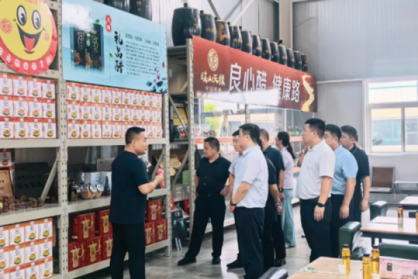 新疆精河县代表团专题调研岐山天...