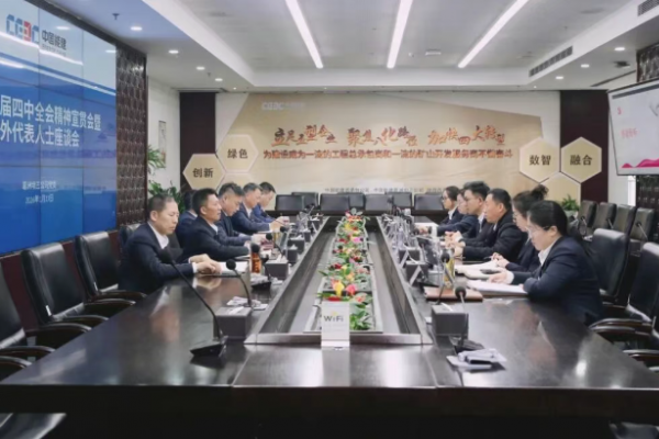 毛惠刚向公司统战代表宣讲党的二...