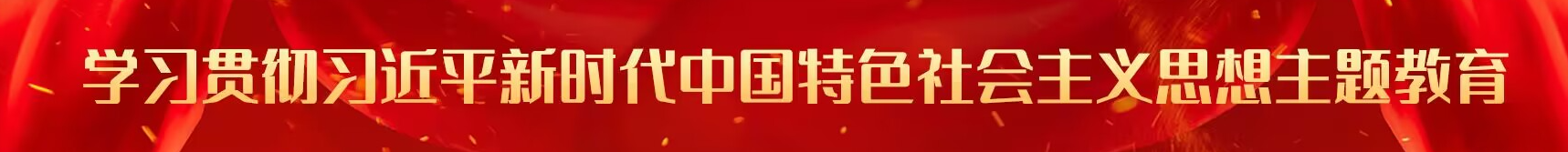 学习贯彻习近平新时代中国特色社会主义思想主题教育